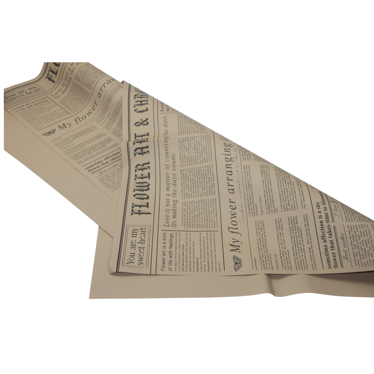 "Transmatt" Paperlook – Newsexpress Natur- schwarz