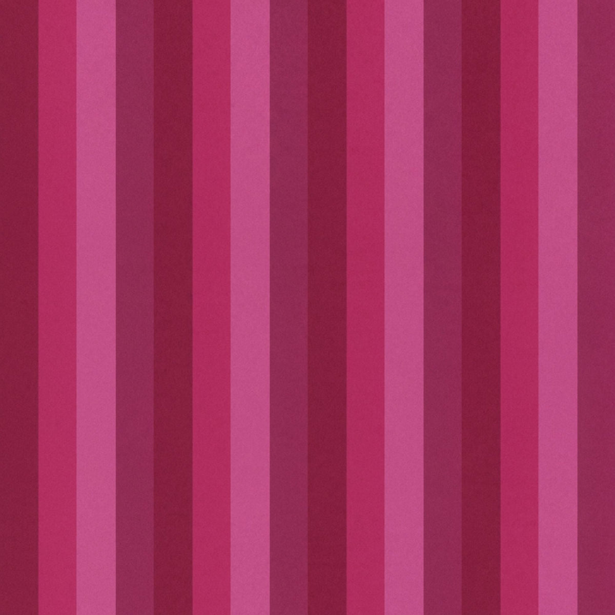 Manschettenpapier Dekor – Farbmuster Balken pink