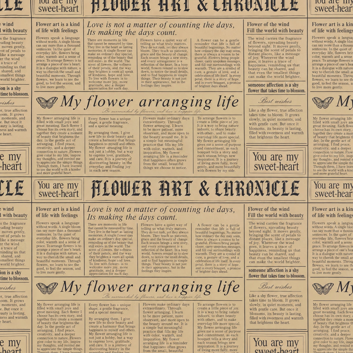 "Transmatt" Paperlook – Farbmuster Newsexpress Natur  schwarz