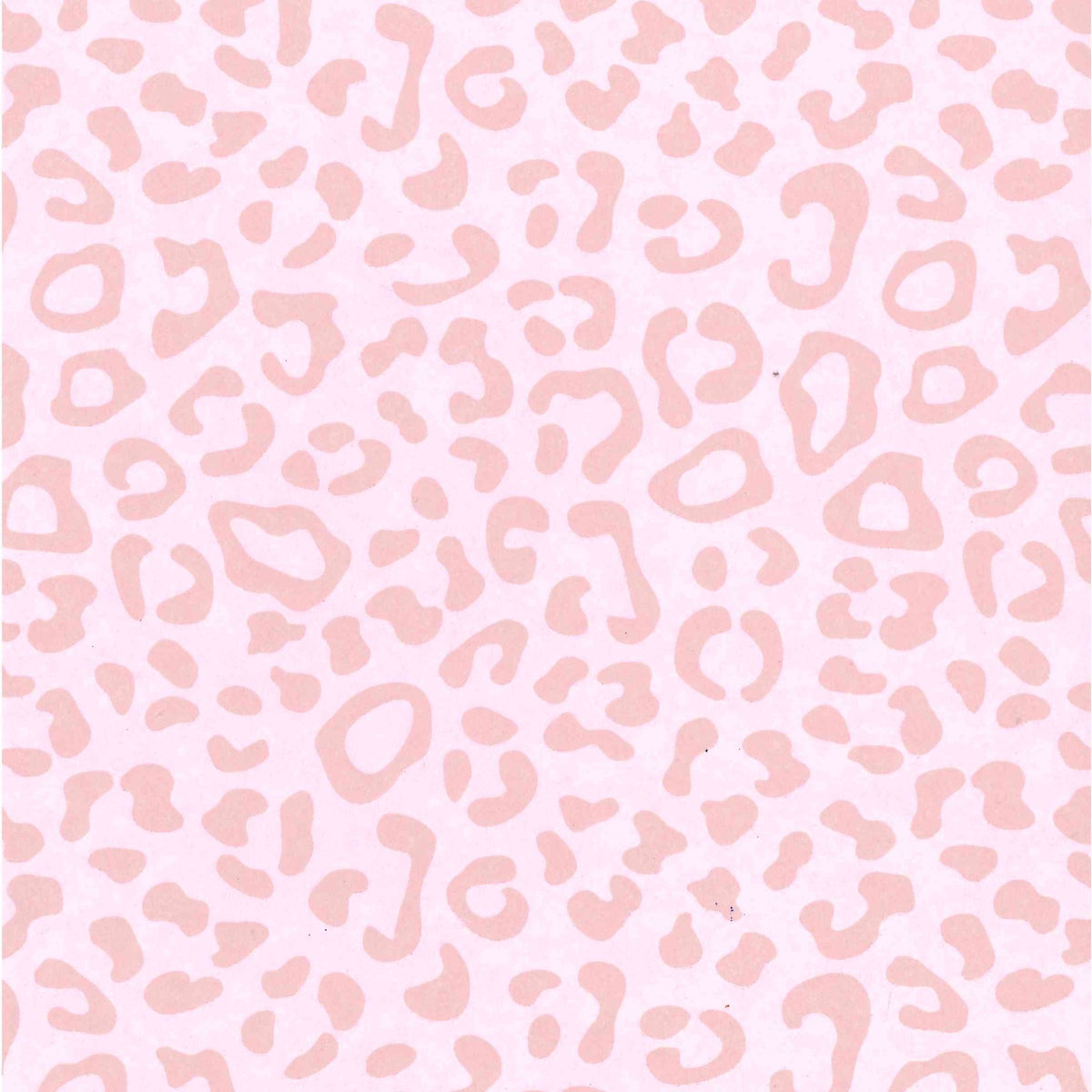 "Leo 2.0" Papier – Farbmuster rosa sand