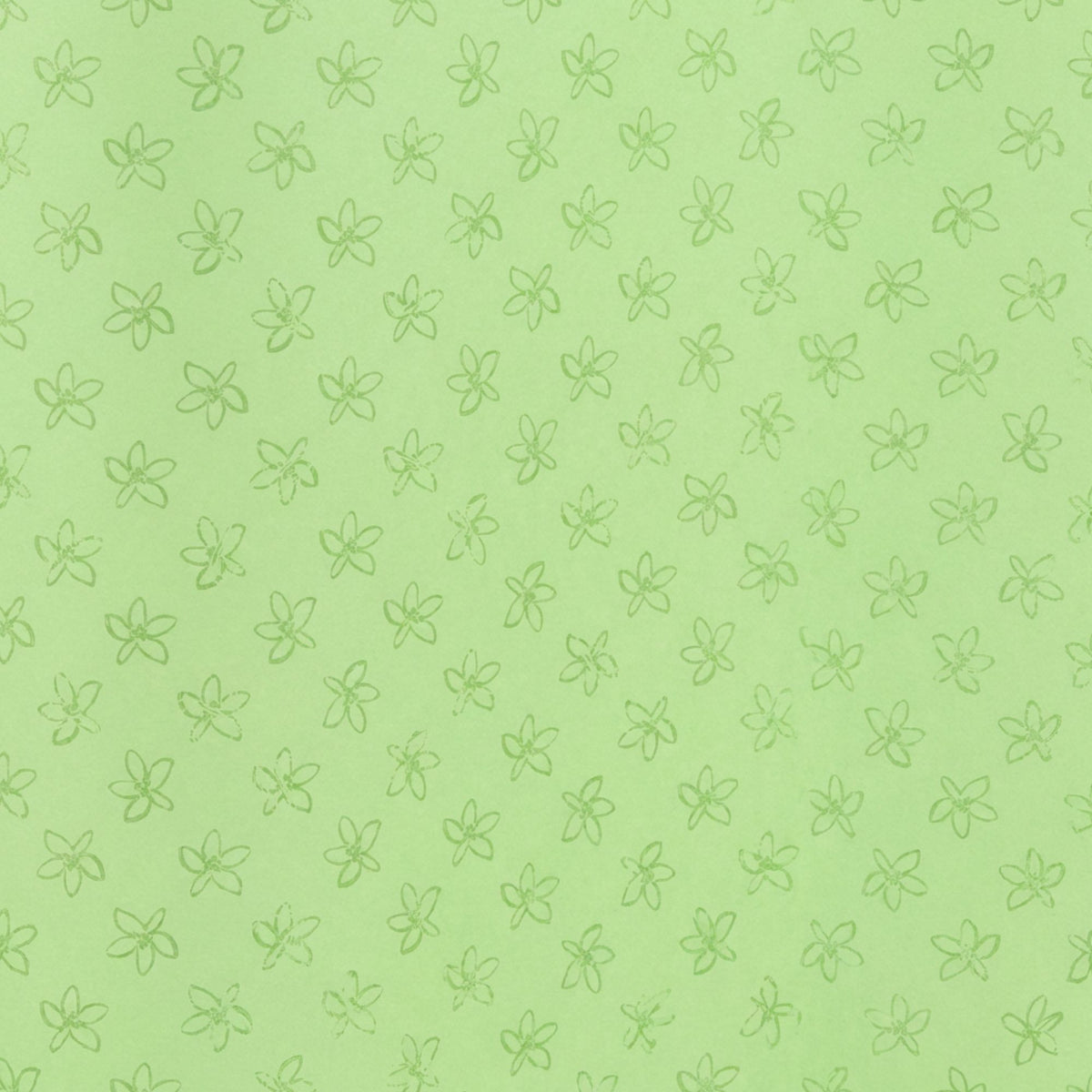 Manschettenpapier Dekor – Farbmuster Summertime maigrün